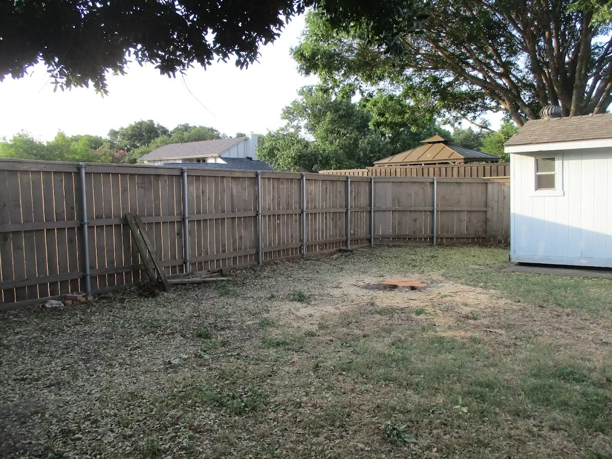 Cleared yard after professional tree removal in Saint James